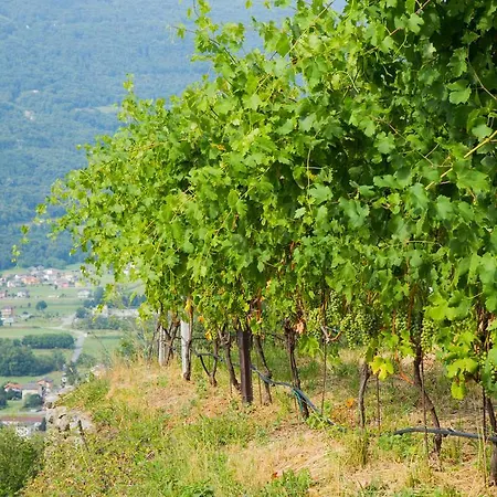 Ca' La Vedescia Bed & Breakfast Teglio